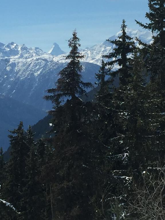 Haus Brunnen Leilighet Riederalp Eksteriør bilde